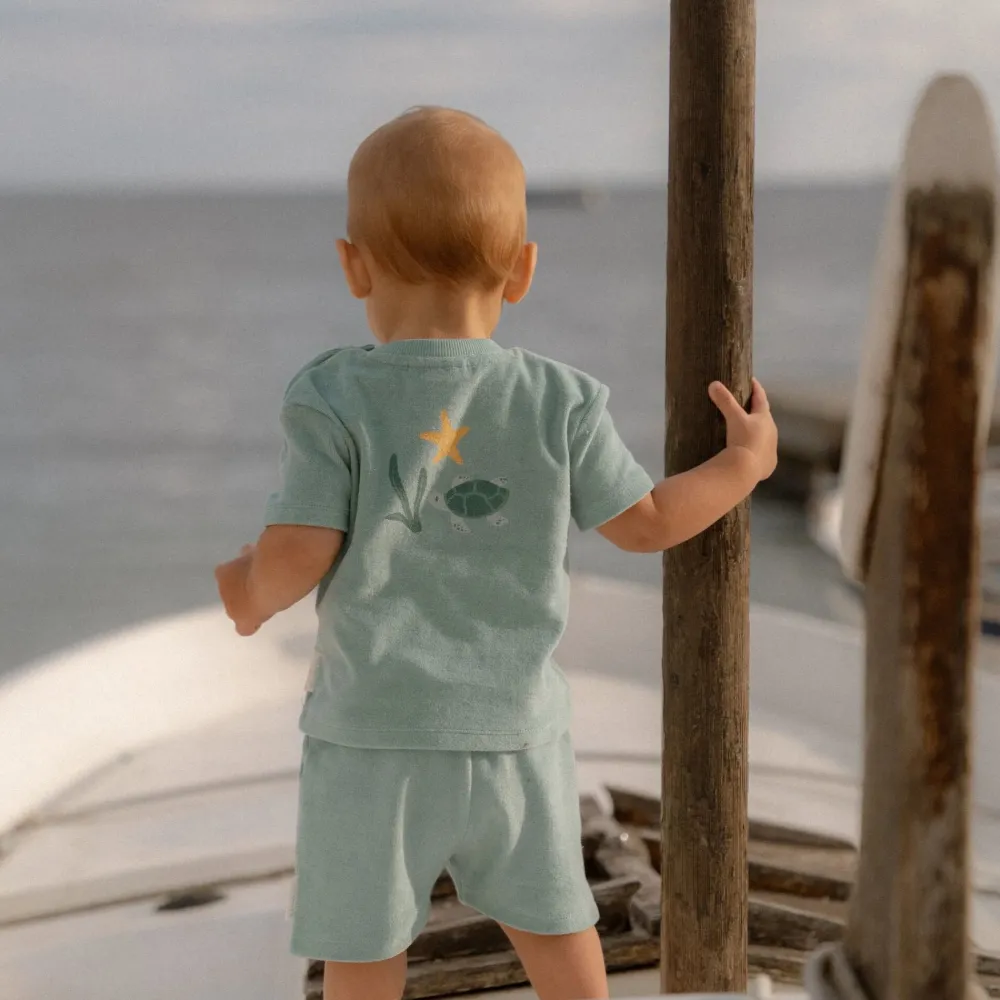 Little Dutch T-shirt en Short - Groen - Seashells and Stripes