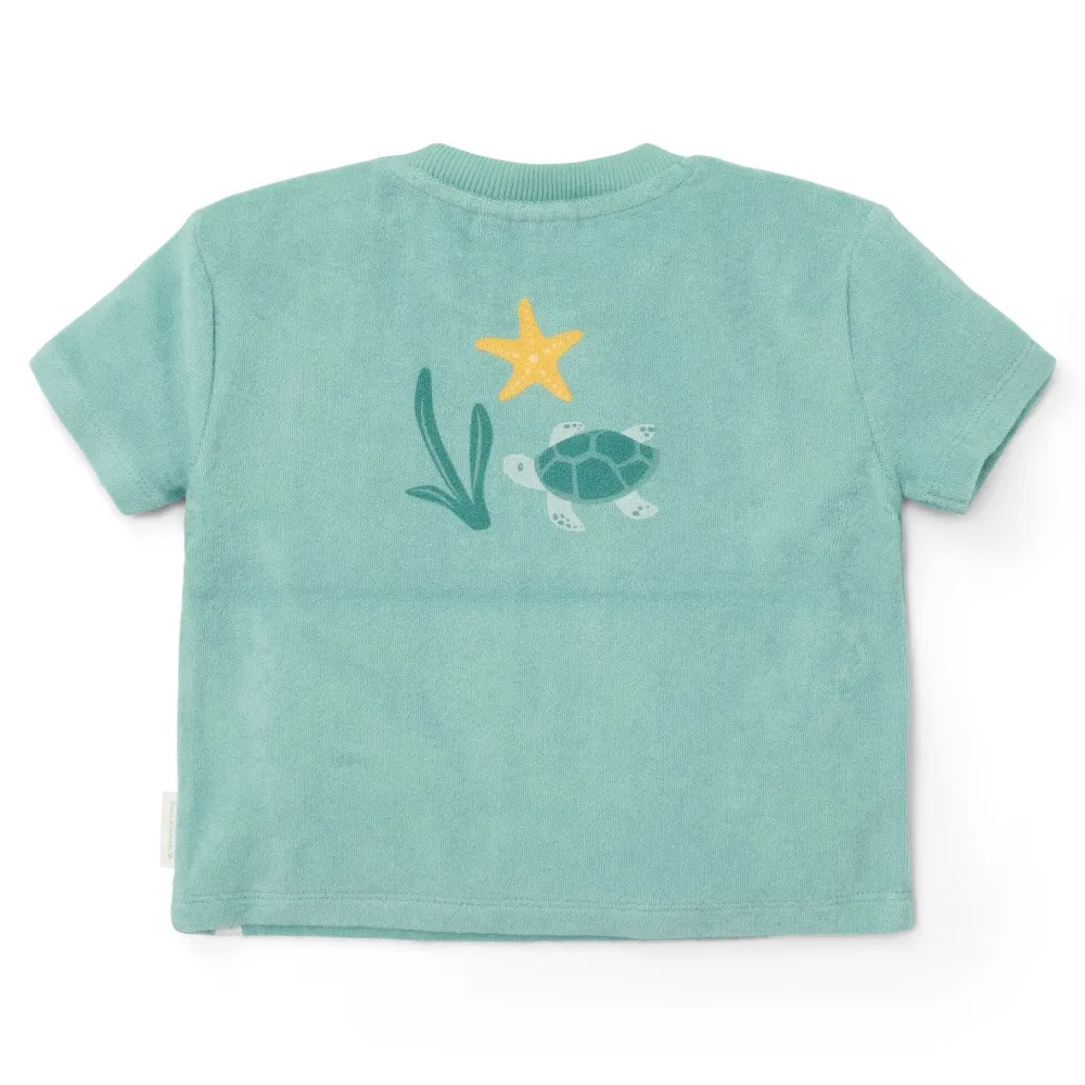 Little Dutch T-shirt en Short - Groen - Seashells and Stripes